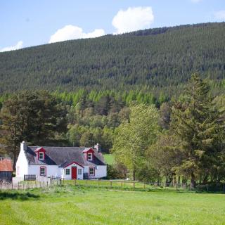 The Croft Cottage - near Aviemore - 0