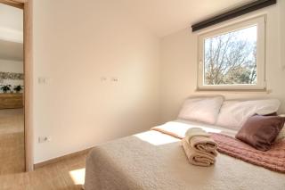 Complex of two villas Palera XXL with private pools - Ližnjan - 1