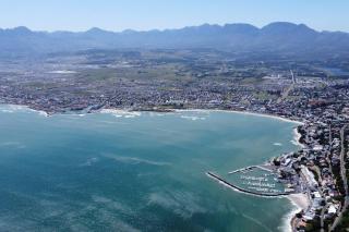 The Elephant House - 8