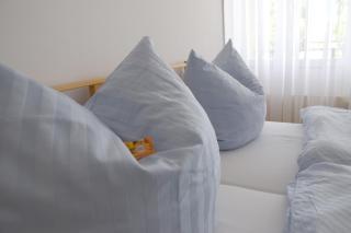 Hotel im Homburger Ländchen - Nümbrecht - 6