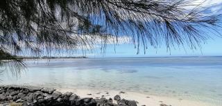 La Maison de la plage - Guest House - Albion - 7
