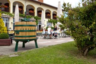 Hotel Rebschule - Freyburg - 6