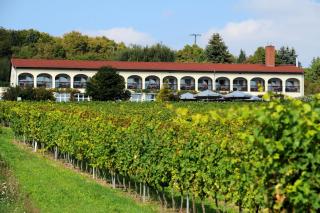 Hotel Rebschule - Freyburg - 0