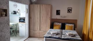 1 rue des romains studio meublé clauss - Niederbronn-les-Bains - 0