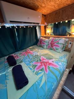 Caraibes insolite - Sainte-Luce - 1