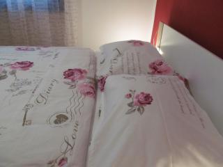 Apartments ZVEZDICA*** with garden - 3