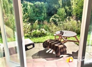 Charming Country Retreat -Lake View Cottage with Hot tub - 7