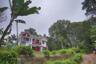 God's gift - Devikolam - 6