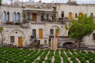 Design Cave Hotel - 1