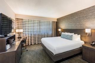 Handlery Hotel San Diego - San Diego - 9