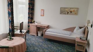 Pension Fürstenhof - Bad Elster - 9