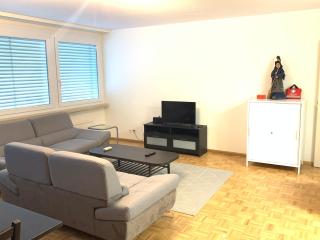 XL City Center Apartment-contactless check-in - Basel - 8