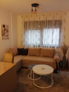 Apartman Tri M - Zlatibor - 3