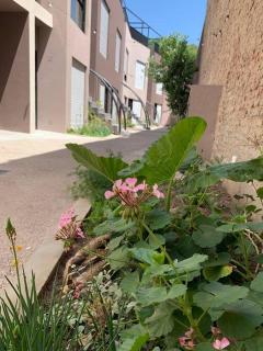 Hermoso y moderno monoambiente en el corazón de Pichincha - Rosario - 6