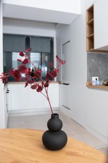 Anise Apartment - Bucarest - 6