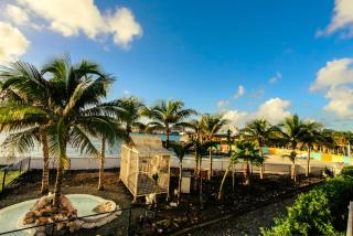 Maho Beach House - Luxe Studio - Ocean Escape - Maho Reef - 5