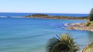 Bluefish - Yamba - 5