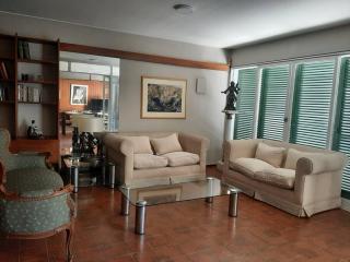 Casa Quinta Sección a 150 metros parque San Martín y 300 metros Av Aristides Villanueva - Mendoza - 3