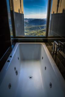 Binna Burra Sky Lodges - Beechmont - 4