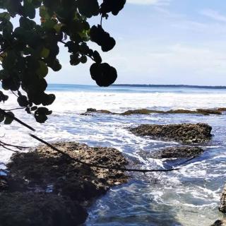 Casa Vero 2 - Cahuita - 5