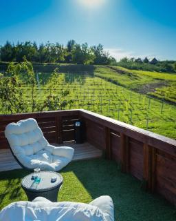 Kispince Wellness Borbirtok - Böhönye - 4