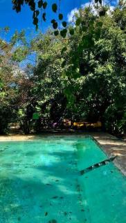 Cabañas Pájaro Azul - 5