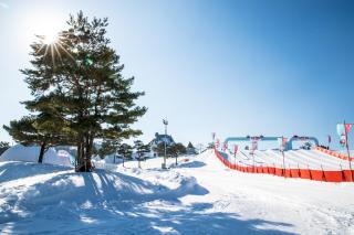Sono Felice Village VivaldiPark - Hongcheon - 3