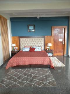 Villa Vikas Studio - Dharamshala - 0