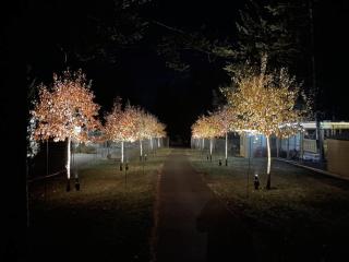 RidgeView Resort - 6