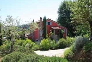 Il Vecchio Milipano - Montepulciano - 8