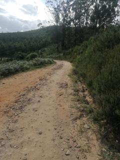 Knysna Tranquil 3 Bedroom Cabin - 7