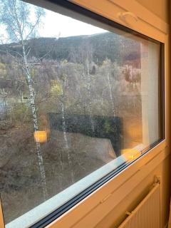 Renttarter Sans Espais - 2