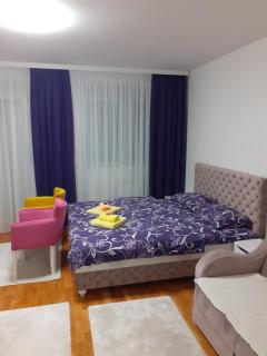 Apartman JOVANA - 5
