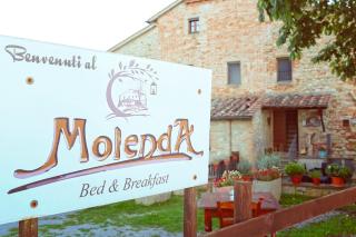Molenda B&B - 4