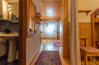 Petit Arnica - Selva di Cadore - 9