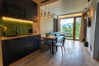 Apart Invest Widok 800 B11 - Szklarska Poręba - 3