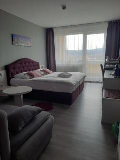 Apartmány - Frymburk My Family - Frymburk nad Vltavou - 9