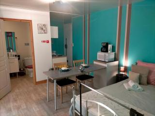 studio " tournesol " au coeur du Berry - Les Bordes - 6