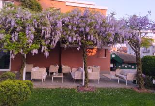 Apartmani IVANA - Vrnjačka Banja - 2