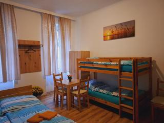 Astoria Central Appartement 10 minutes to downtown - Vienna - 7
