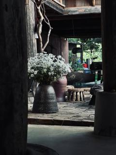 Mô he - Sơn Tây - 6