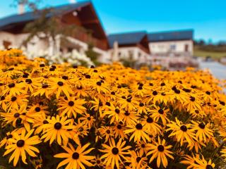 Chaty Krušetnica s luxusným privátnym wellness - 5