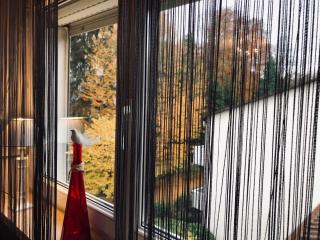 Cozy Apartment Fremersberg for 2 - Baden-Baden - 4