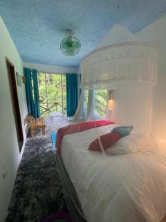 Salvaje Rooms&Restaurant - Santa Bárbara de Samaná - 8