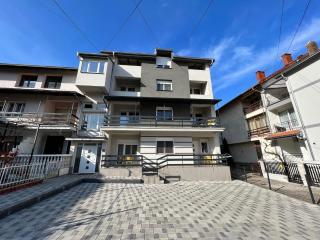 Apartments Velickovic - Soko Banja - 7