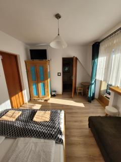 Willa Strumyk - Zakopane - 2