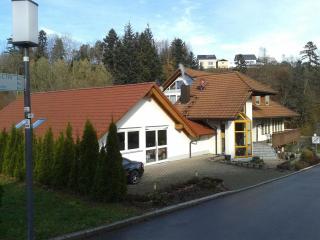 DZT-Schwarzwaldhotel garni - Unterkirnach - 2