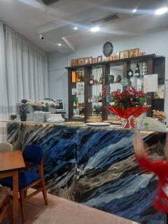 HOTEL MEGNIAR - Lushnjë - 5