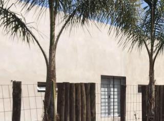 vivestadias - San Gregorio - 0