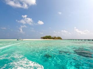 Island Holiday Lodge - 3